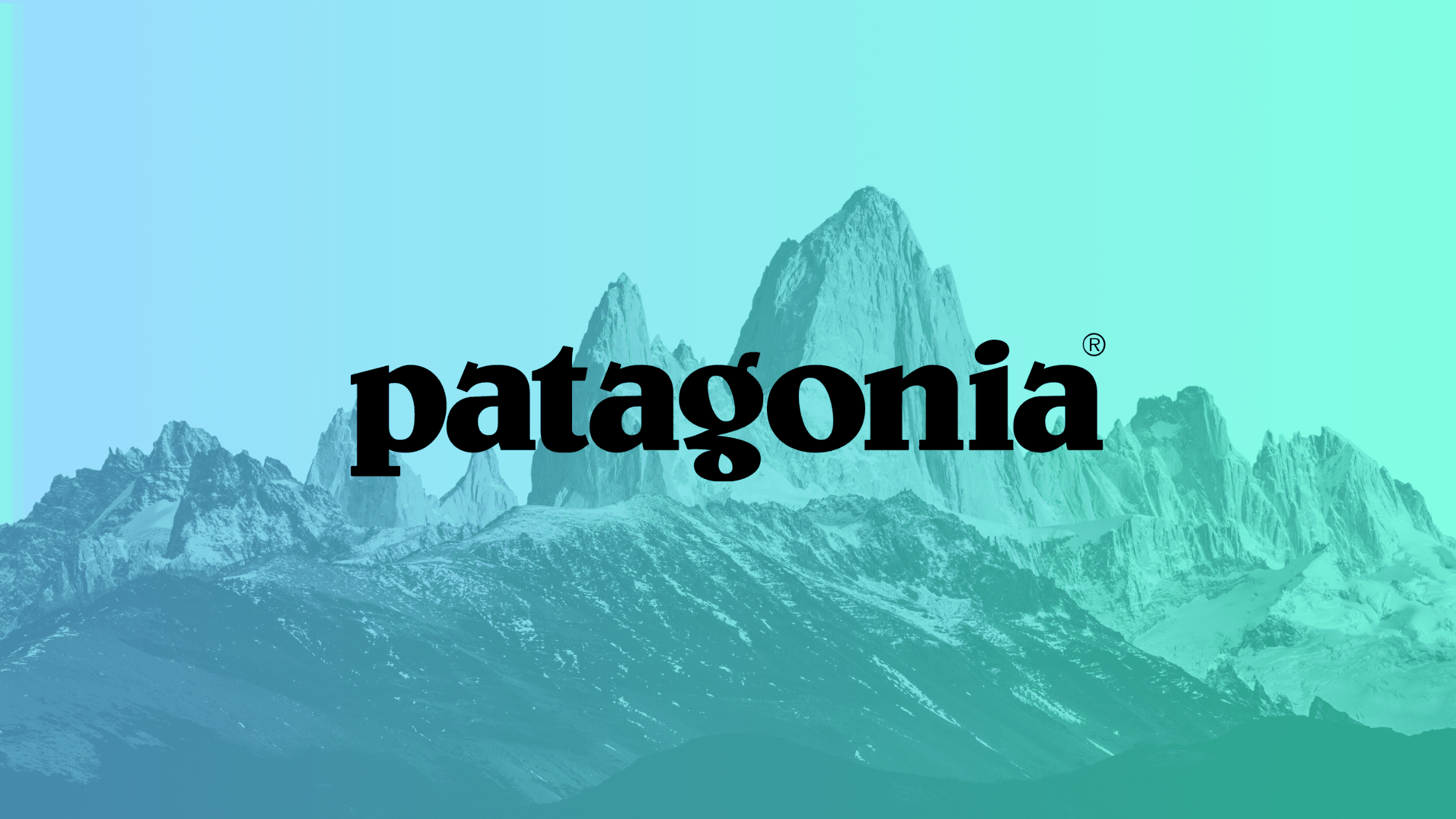 Patagonia business case study showing outdoor clothing company's environmental mission and sustainable business practices with founder Yvon Chouinard