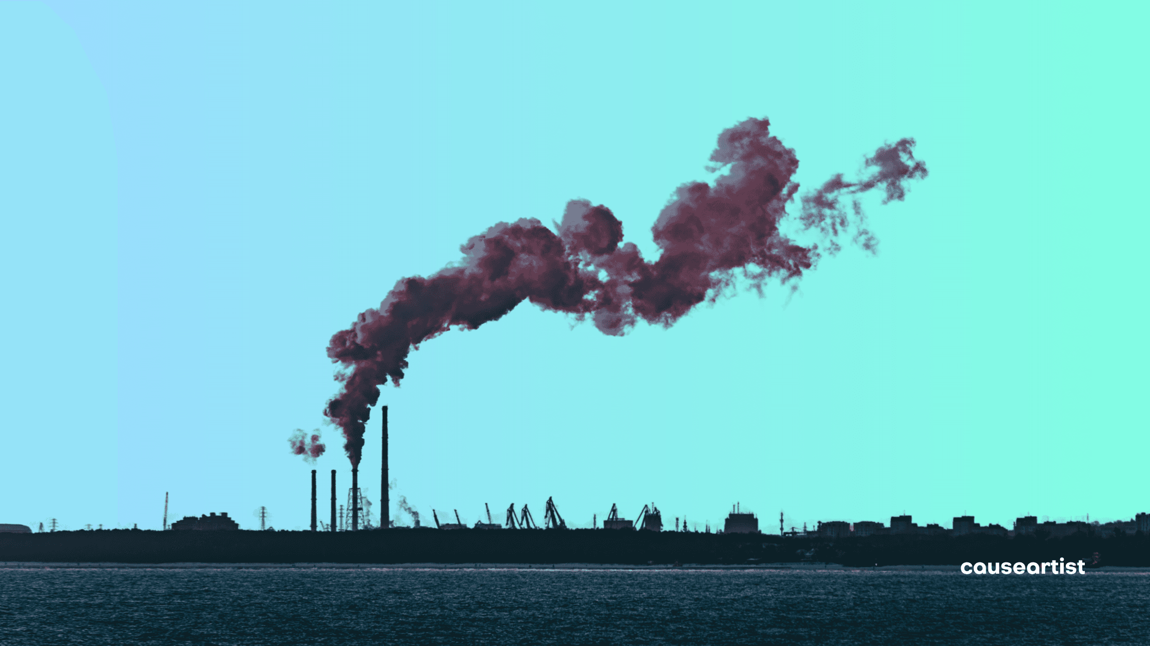 11 Carbon Credit Platforms Redefining the Climate Economy