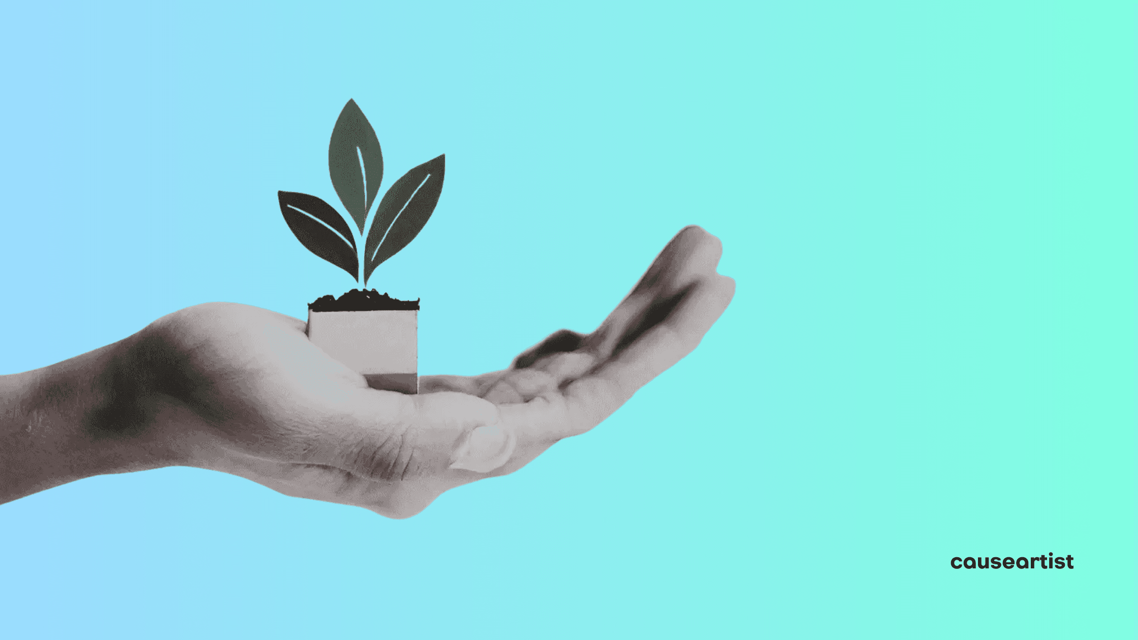 79 Impact Investing Firms You Should Know