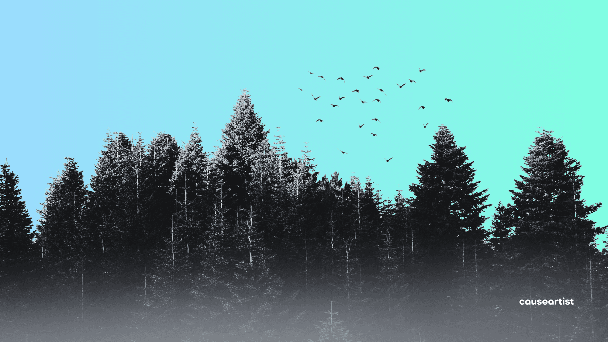 Chestnut Carbon Raises $90 Million to Scale Nature-Based Carbon Removal Projects Across the U.S.