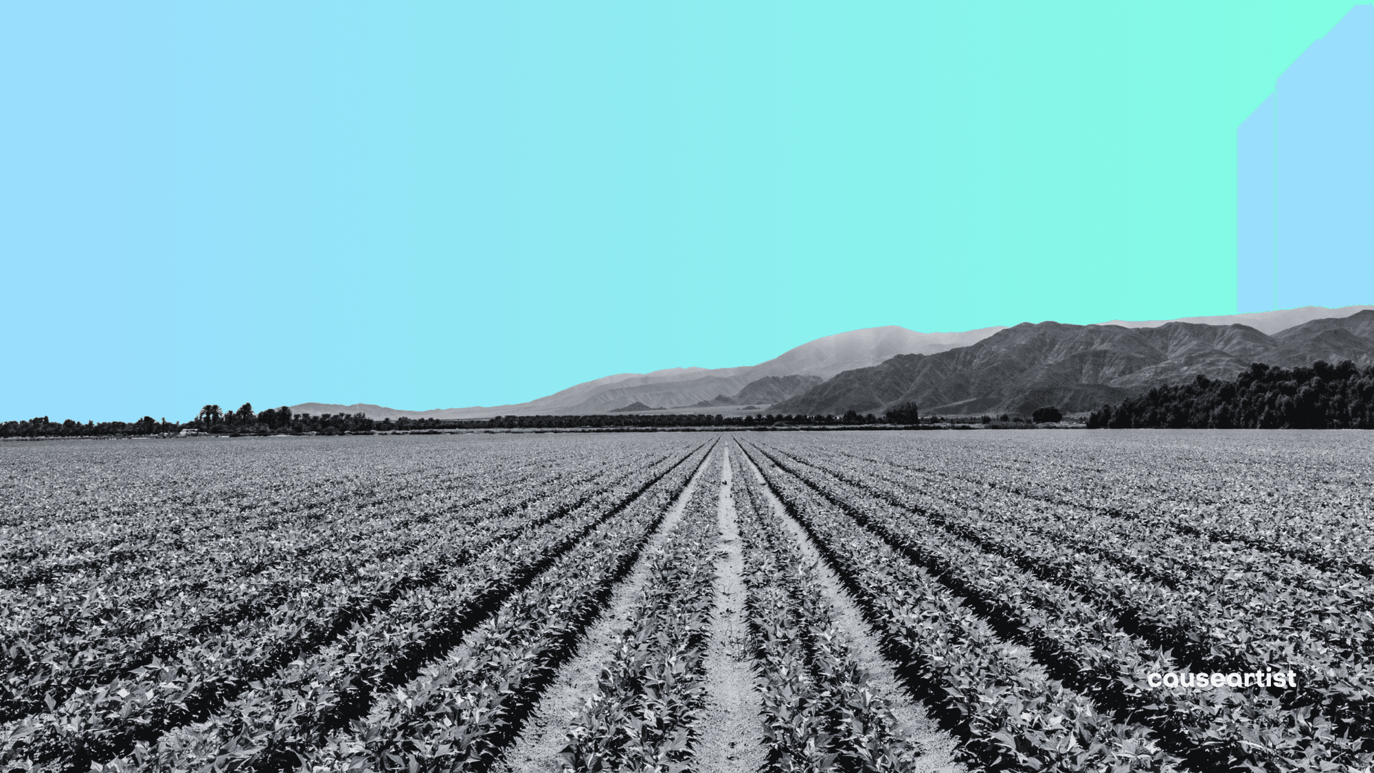 Nitricity Secures $50M to Scale Organic Fertilizer Made from Waste