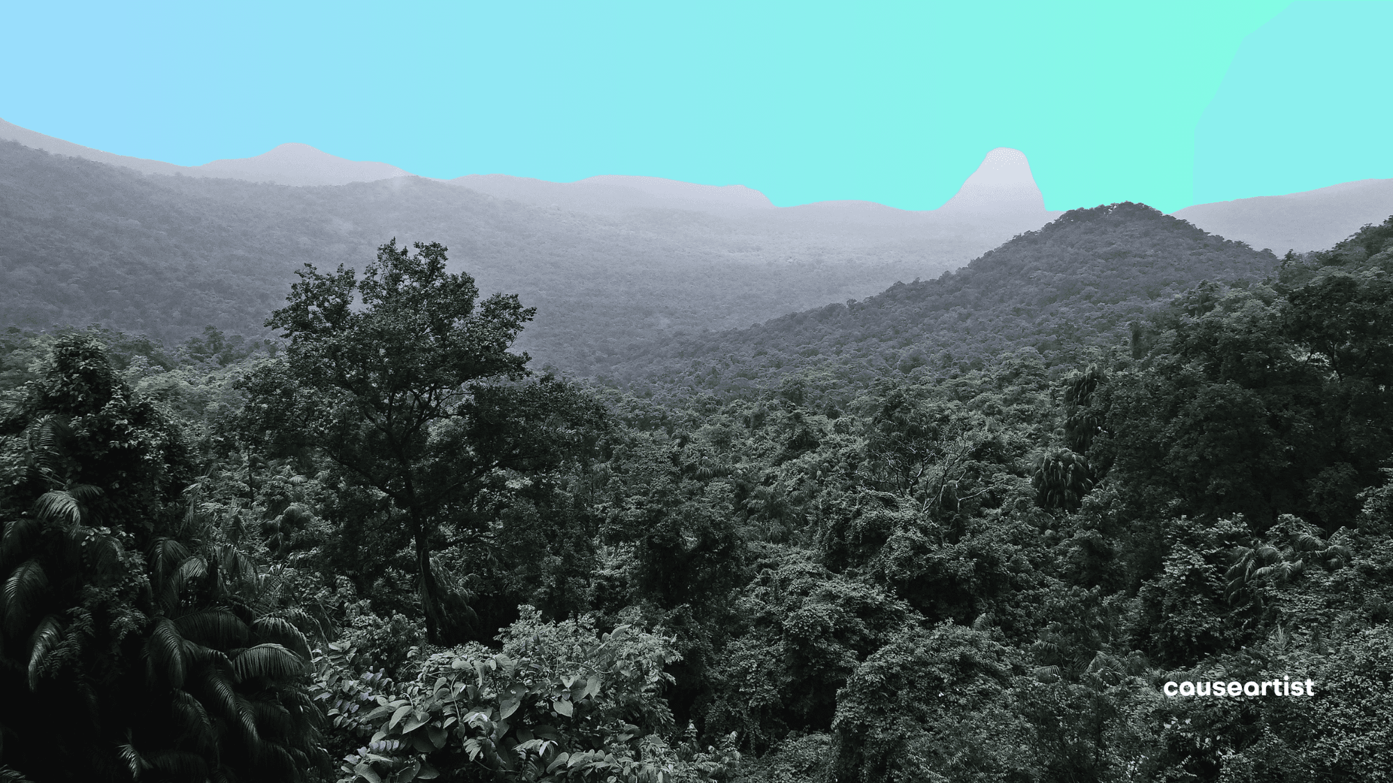 Rainforest Alliance Launches Regenerative Agriculture Certification for Coffee