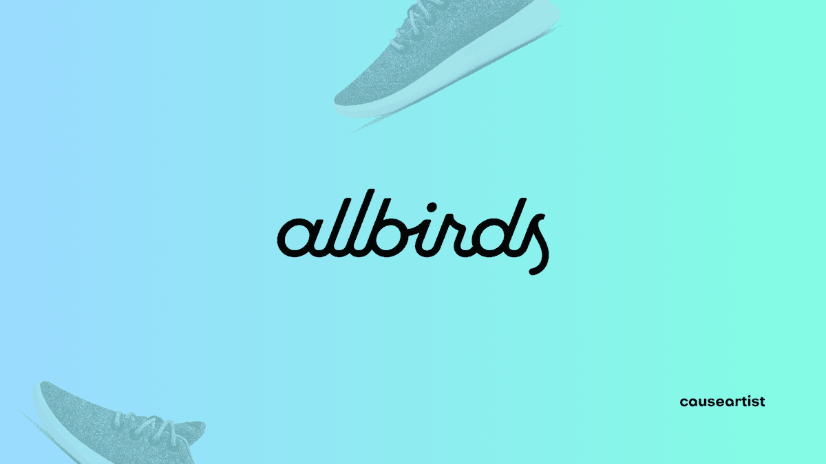 Allbirds sustainable sneakers and company founders Tim Brown and Joey Zwillinger, representing the eco-friendly footwear brand's rise and challenges