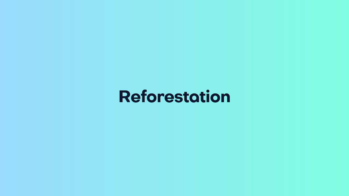 Reforestation: What It Is, Why It Matters, and How It Works