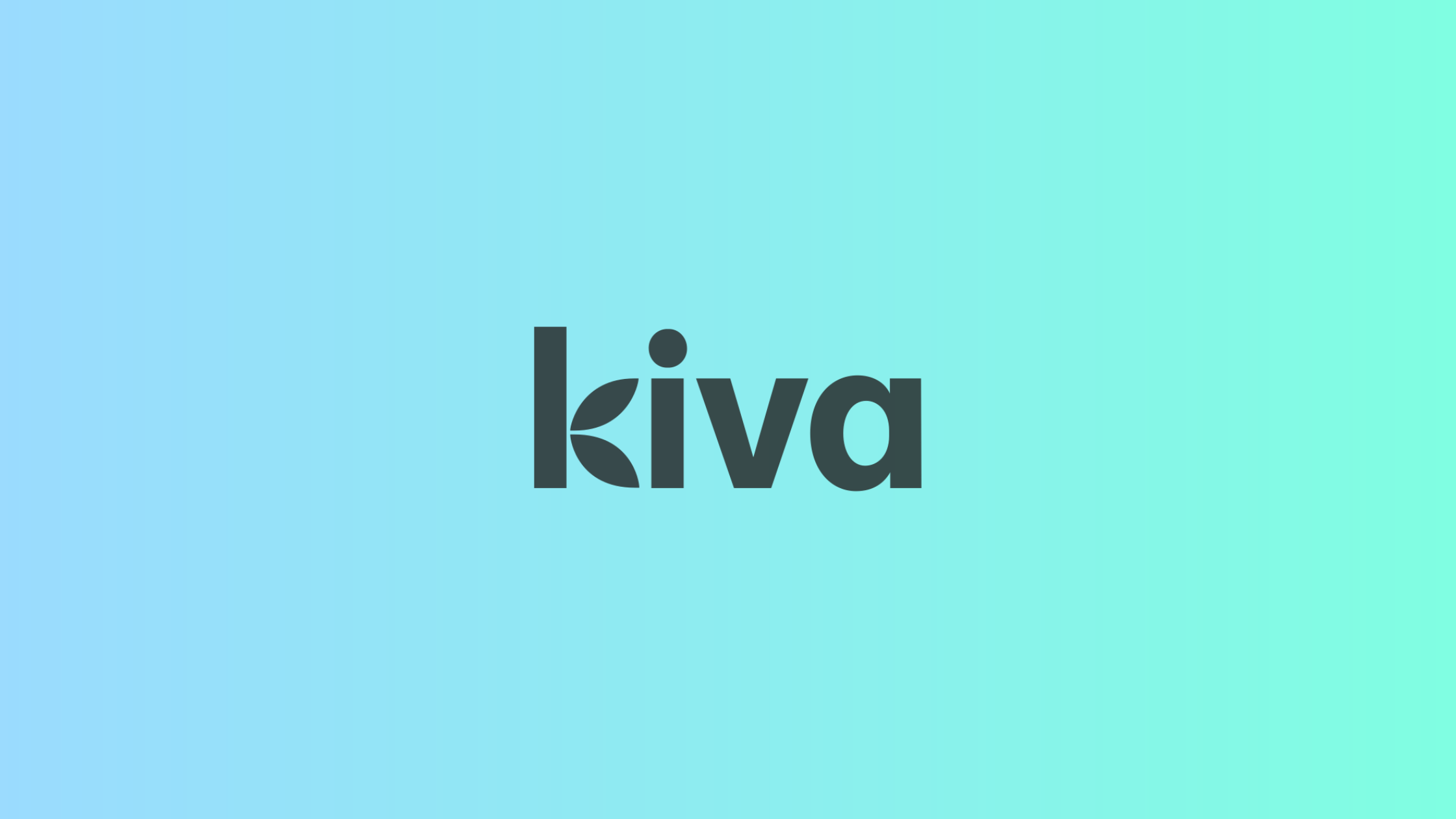 Kiva nonprofit microfinance platform case study showing how crowdfunded micro-loans connect individual lenders to underserved entrepreneurs worldwide
