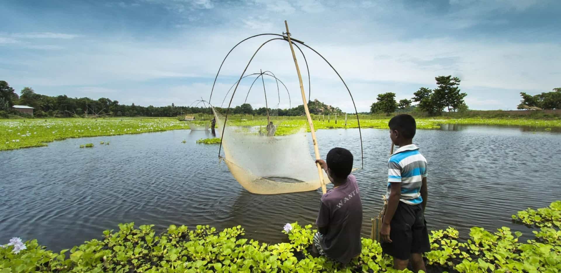Tribalingual Helps Anyone Learn And Save The Most Endangered Languages in The World