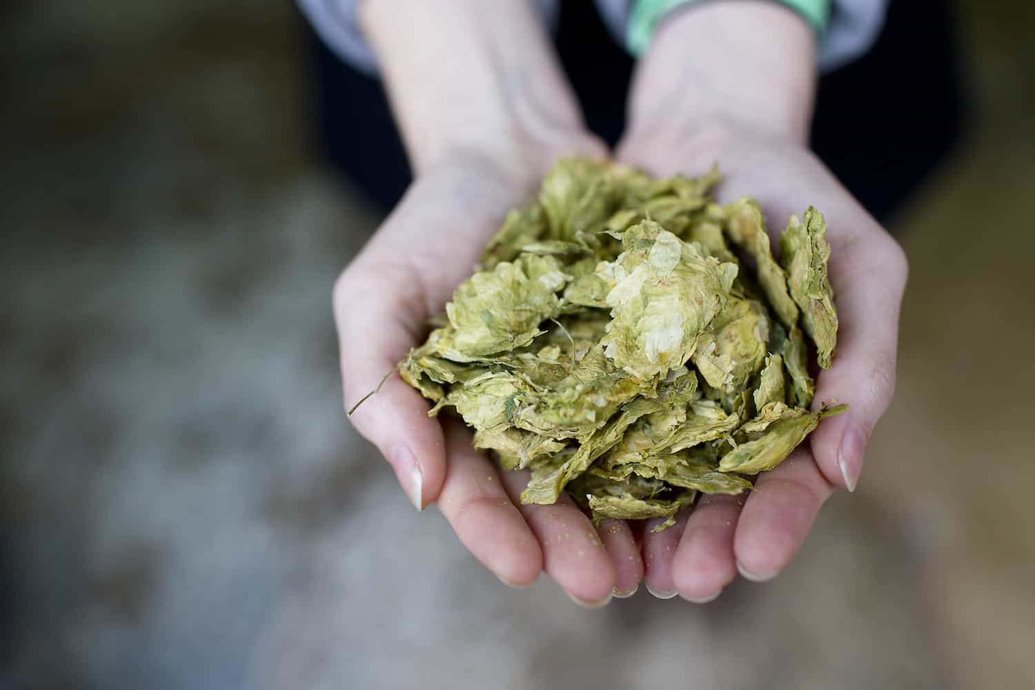 From Tofu Wine To Surplus Bread, Singapore Embraces Fight Against Food Waste