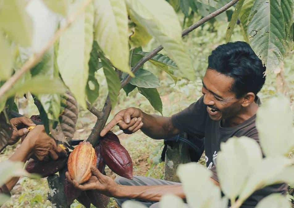Krakakoa Champions Sustainable Agriculture, One Craft Chocolate Bar At A Time