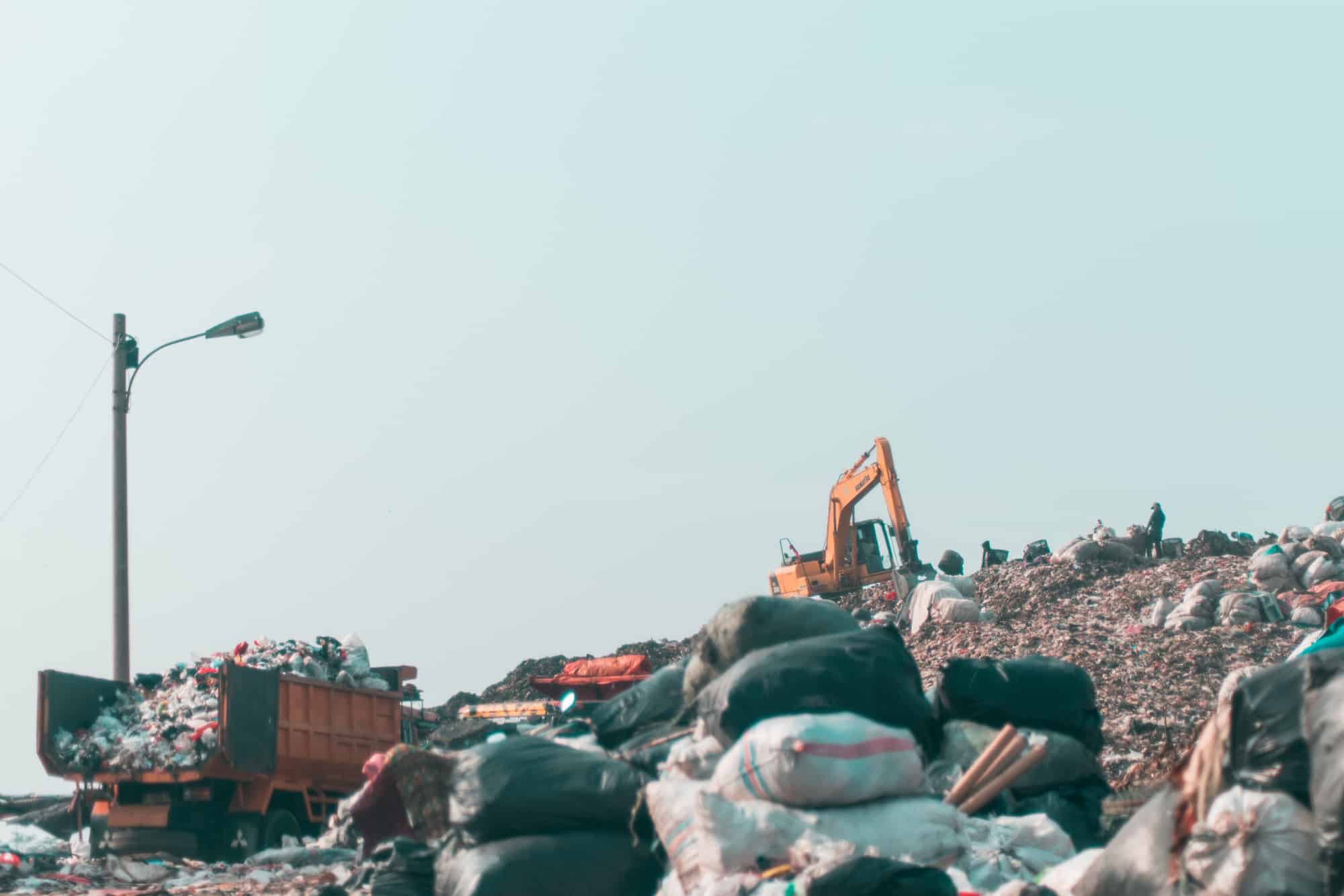 Packaging The Future: Curbing Plastic Waste With Edible Packaging