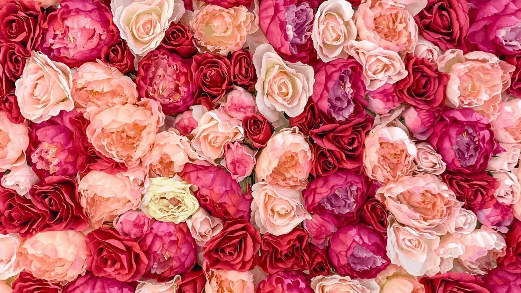 24 Best Ethically Sourced Valentine’s Day Gifts