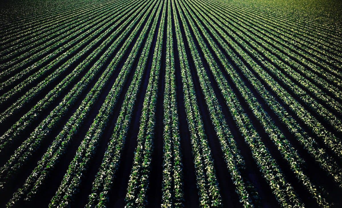 The Future of Food Technology and How it Helps Mitigate the Threats of Climate Change