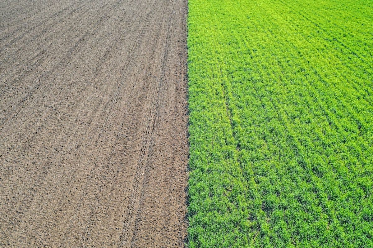 The Next Economy is Being Built by Allocating Capital Into Regenerative Natural Resources
