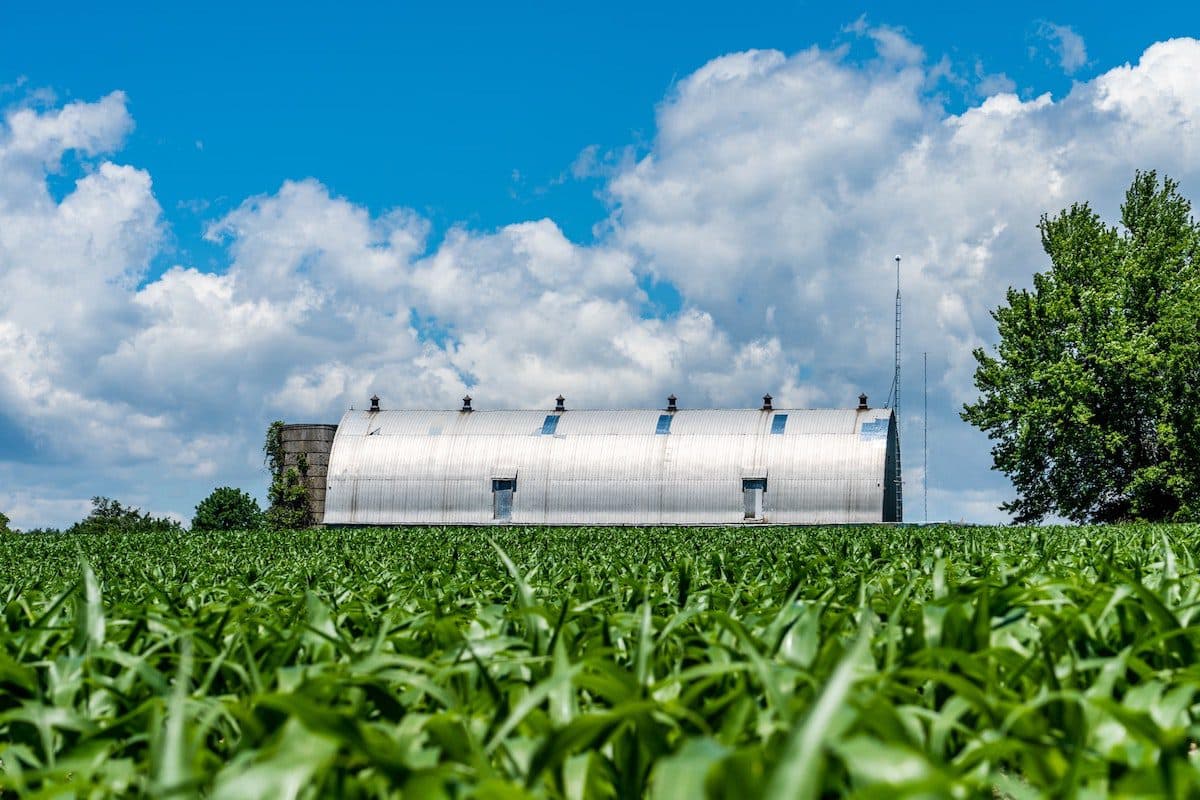 10 Cellular Agriculture Companies Creating Healthy Future Foods