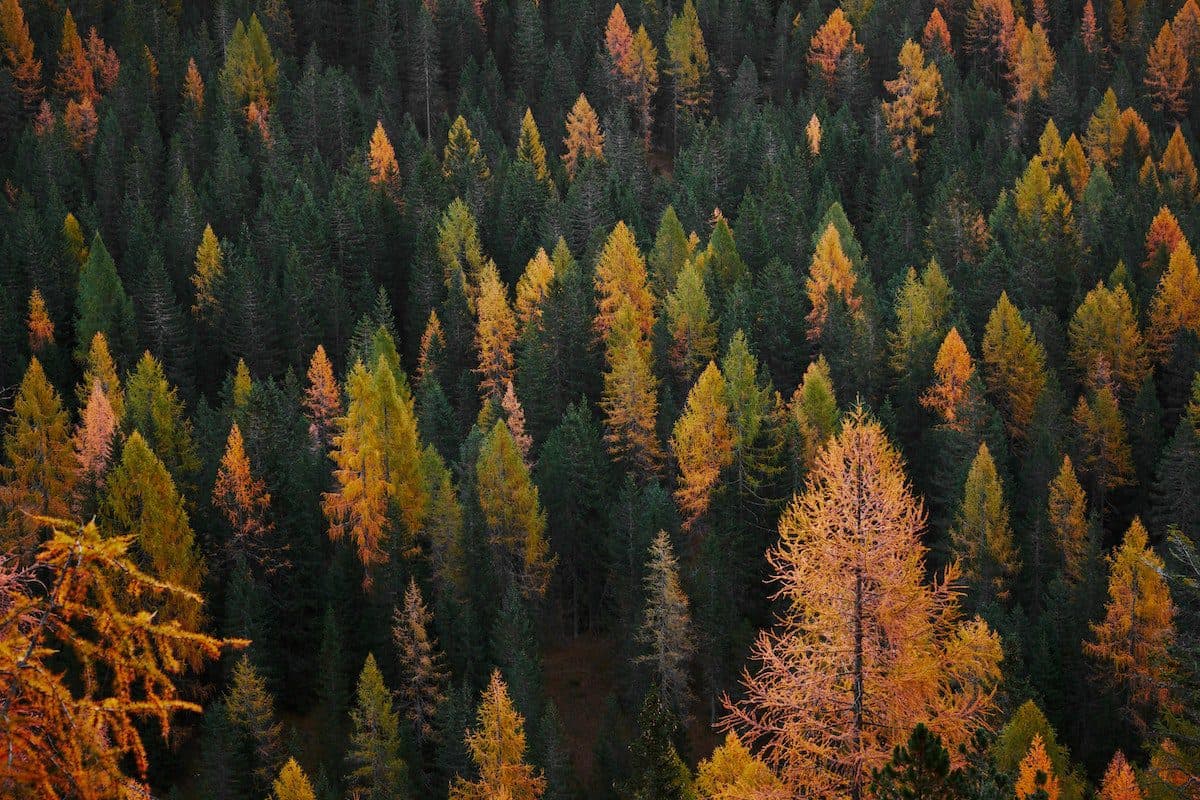 22 Web3 Projects Enhancing Climate Action