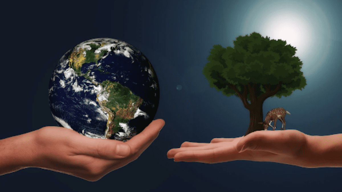 9 Simple Steps to Develop an Eco-Friendly And Sustainable Business