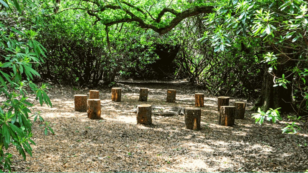 Giles Hutchins on Regenerative Leadership and Using Nature to Enhance Executive Consciousness