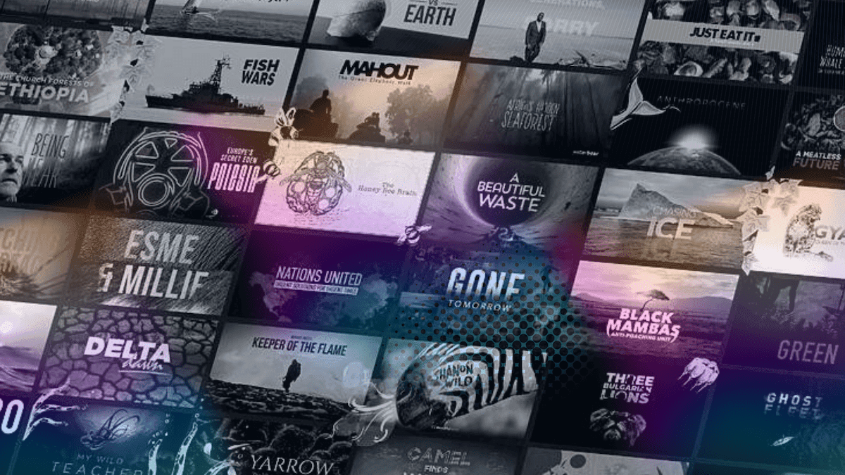 Meet WaterBear Network, the First Streaming Service Dedicated to Climate Action and Sustainability