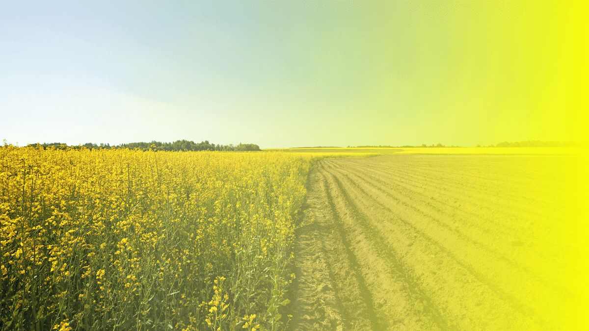 How Regen Network is Pioneering Ecological Assets