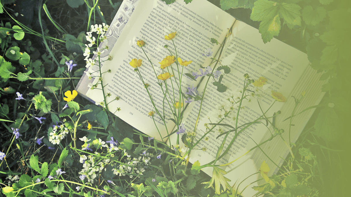 19 Sustainability and Climate Change Books to Help You Understand the Future of Our Planet(From All Sides)