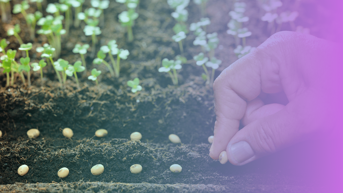Inari Raises $124 Million to Design Seeds for a More Nature-Positive Food System