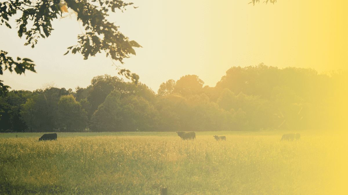 Walden Mutual Bank Raises $24M From Community Investors to Create a Sustainable Food Focused Digital Bank