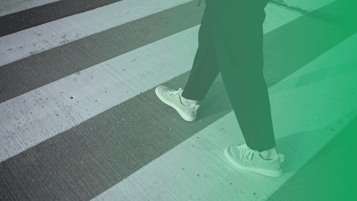 Meet Zebra Oasis, the Unique Sneaker That is 100% Recyclable