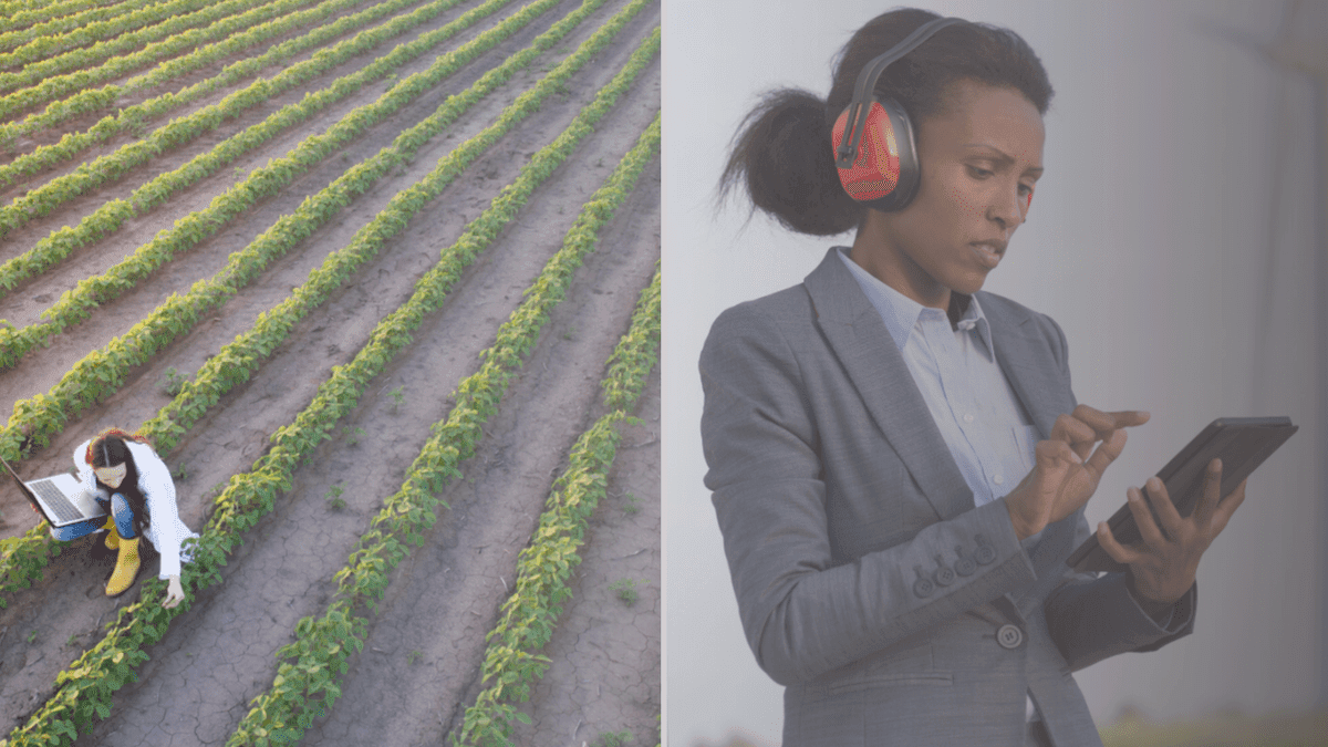 How AlphaMundi Foundation Invests in Women and Climate to Create Long-Term Prosperity