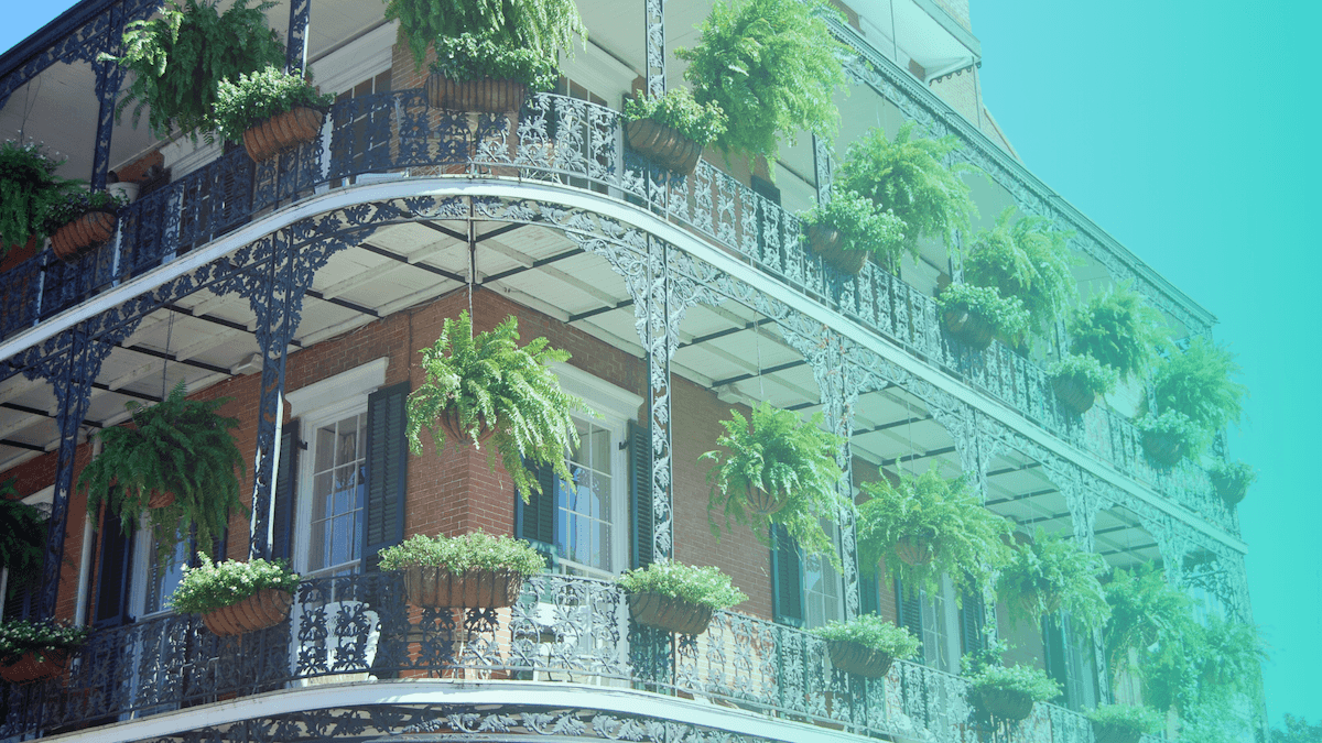 11 New Orleans Nonprofits and Social Enterprises Making a Difference