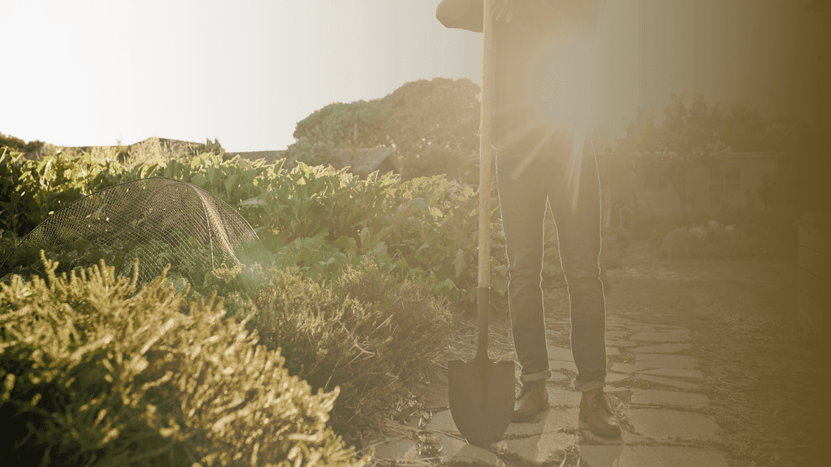 FedUp Foods is Forging the Next Generation of Sustainable Manufacturing and Regenerative Practices
