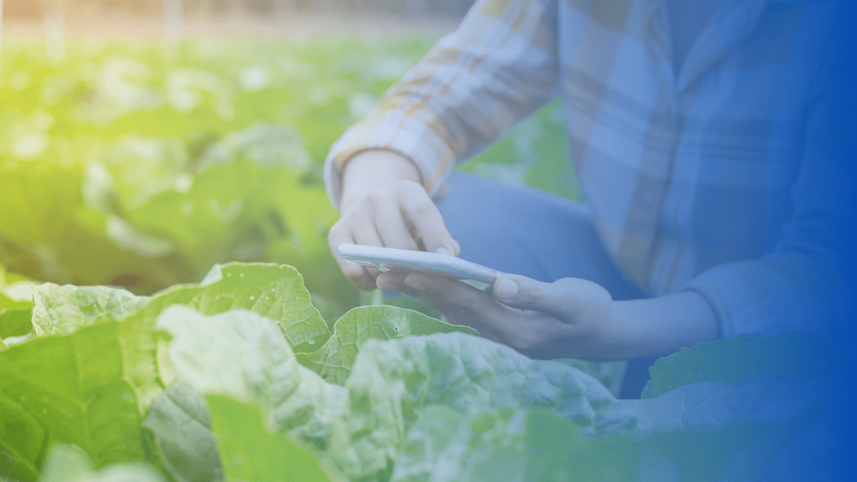 How Tenacious Ventures Backs Early-Stage Agtech Startups to Tackle Climate Change