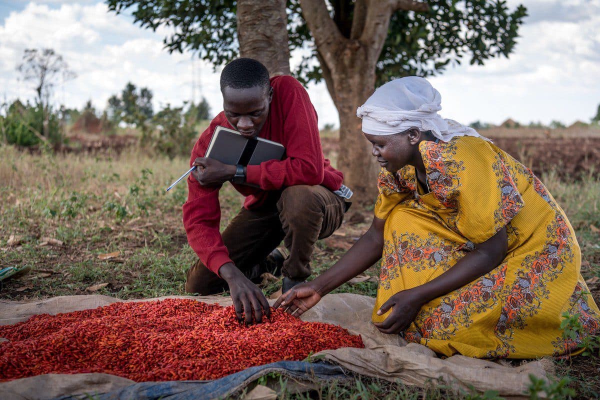 USAID’s Development Innovation Ventures Grants $6.5M to Support Entrepreneurship in Rwanda