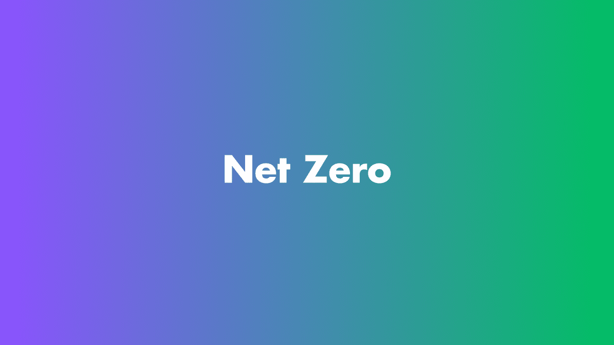 What does Net Zero Mean?