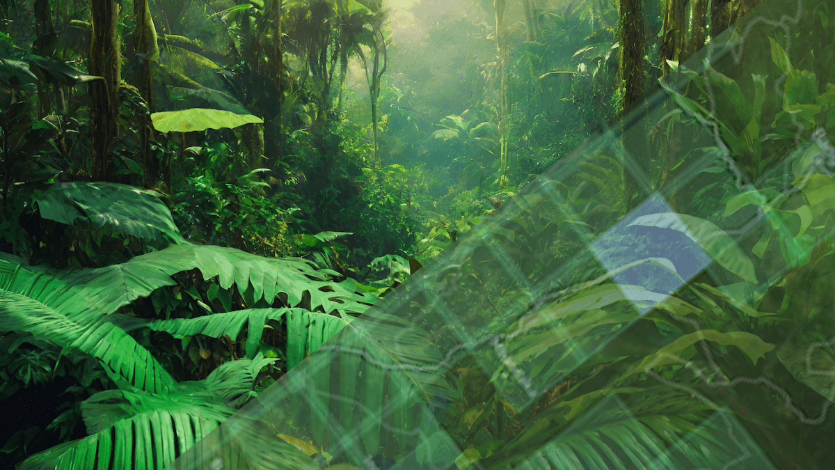 dClimate and Democratic Republic of Congo Collaborate to Strengthen Carbon Registry