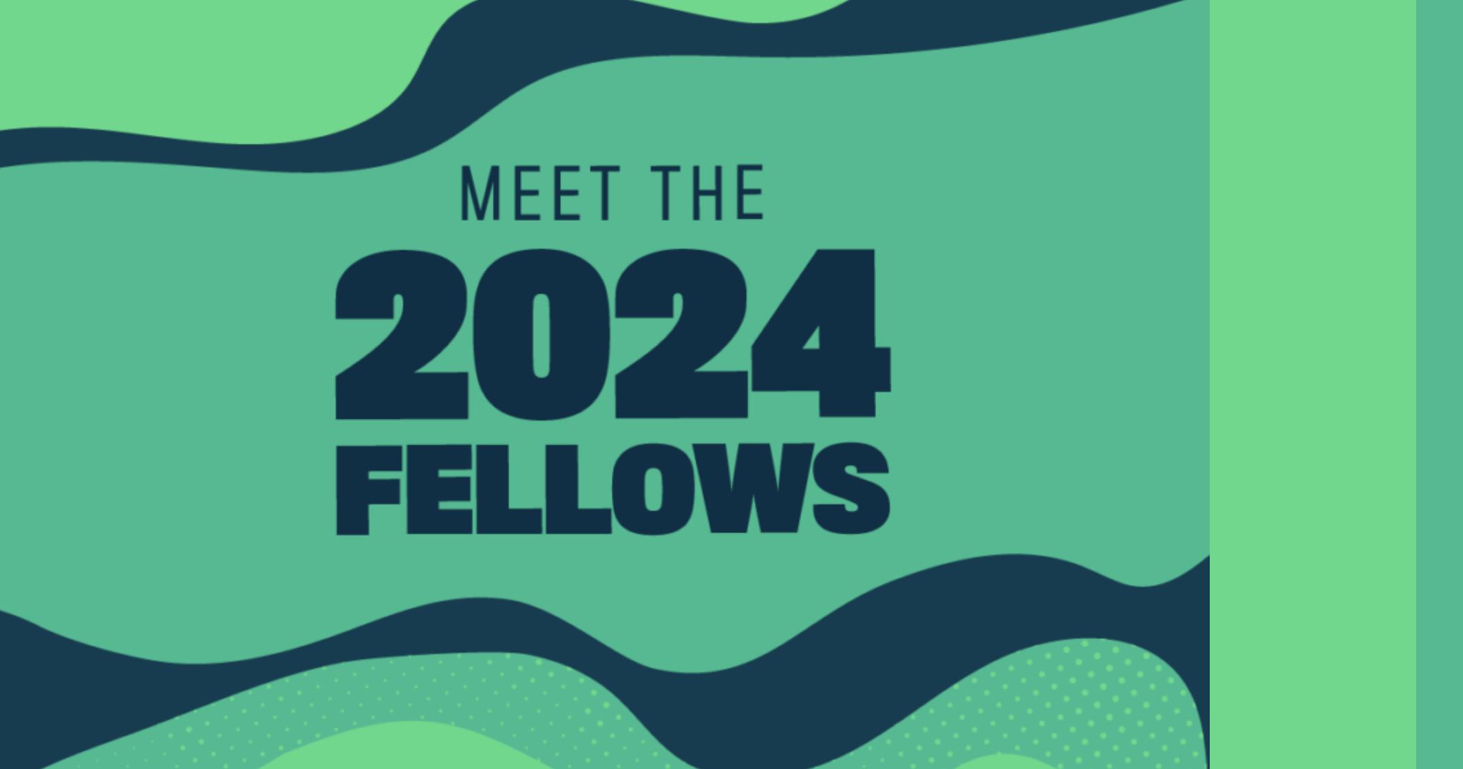 THE 2024 ECHOING GREEN FELLOWS