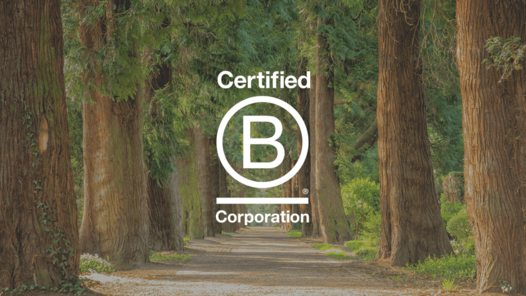What is a B-Corp?