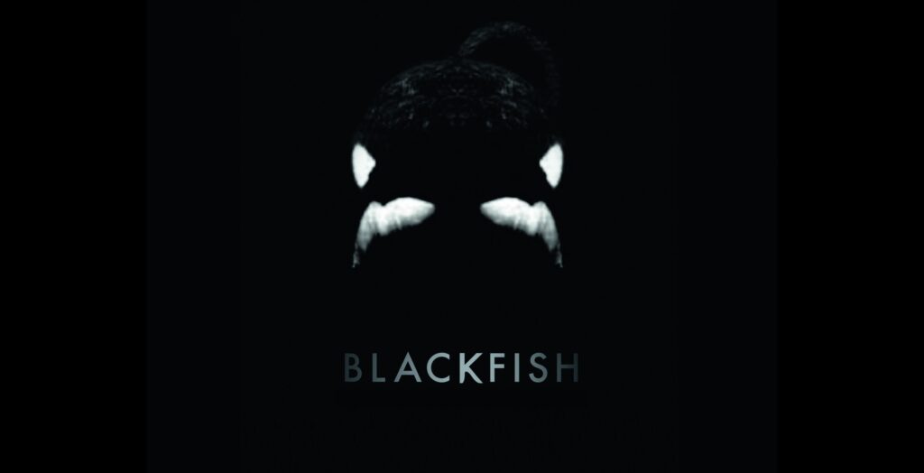 Blackfish film