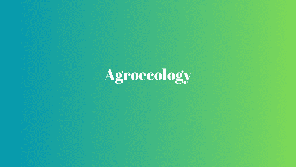 What is Agroecology